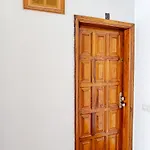 El Delfín Apartamento